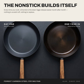 Alva Forest carbon steel seasoning comparison from day one to one year